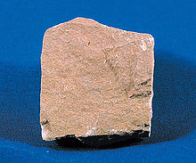 A photo of a siltstone rock.