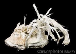 A picture of asbestos.